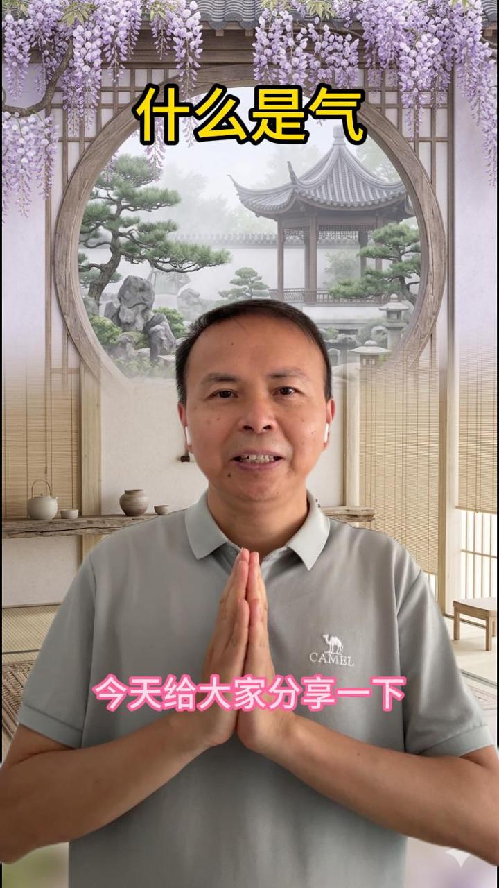 什么是"气"？用大白话讲清楚这个被玄学化的概念 视频原始封面