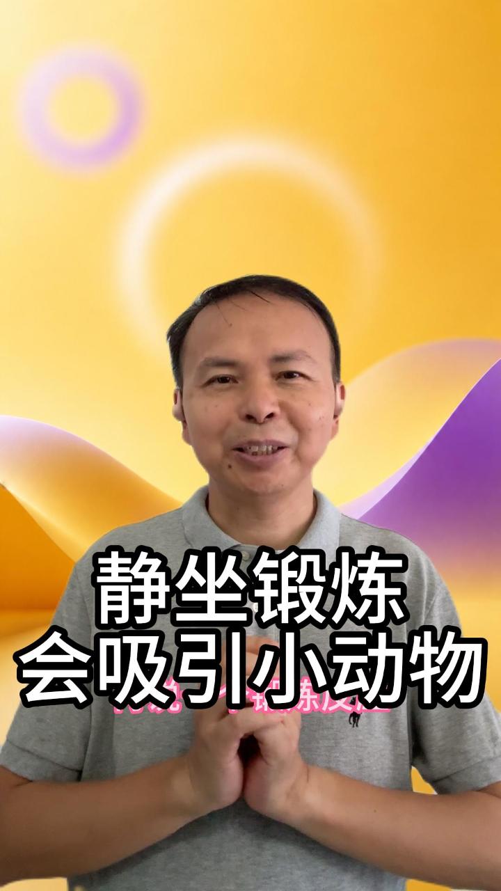 静坐锻炼会吸引小动物吗 视频原始封面