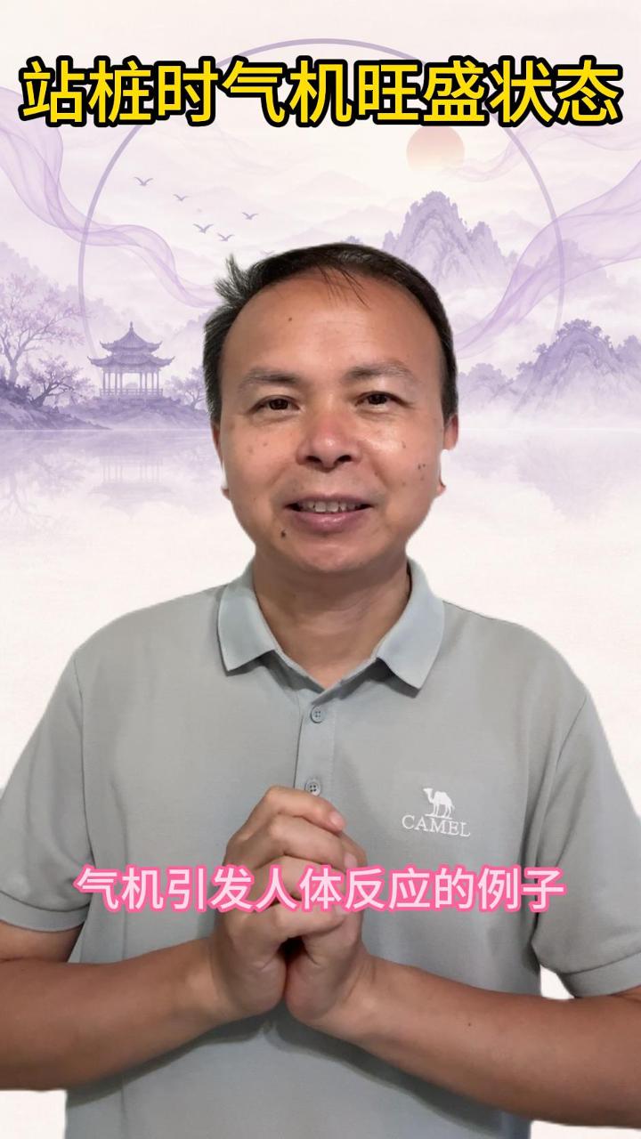 站桩时头顶气机旺盛状态 视频原始封面